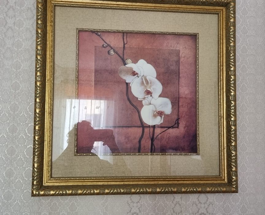 Obraz storczyk w złotej ramie