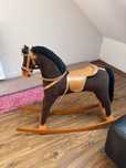 Konik na biegunach