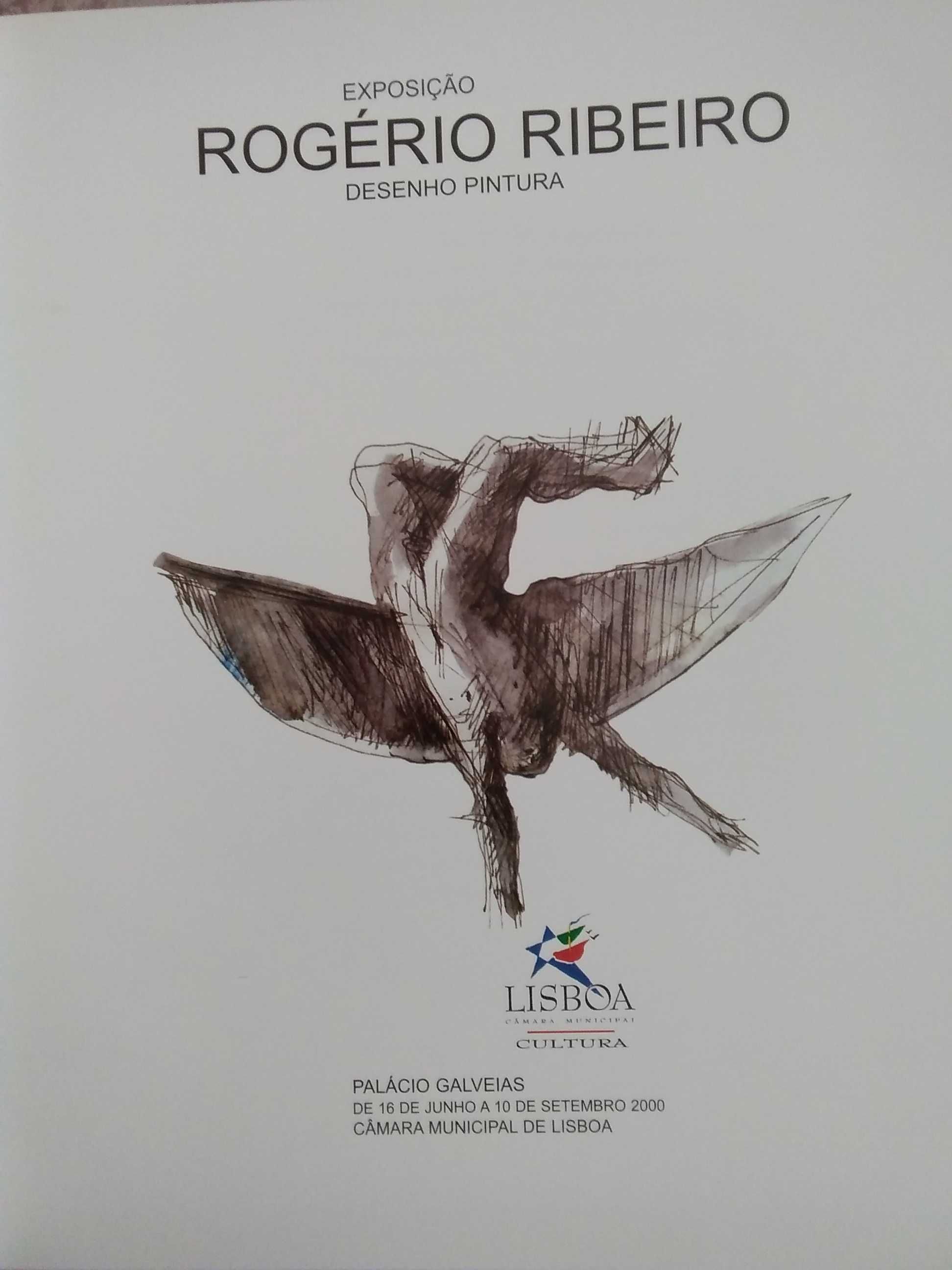 Rogério Ribeiro - Exposição - Palacio Galveias