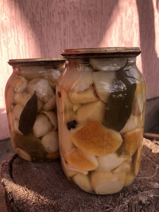 Мариновані білі гриби
