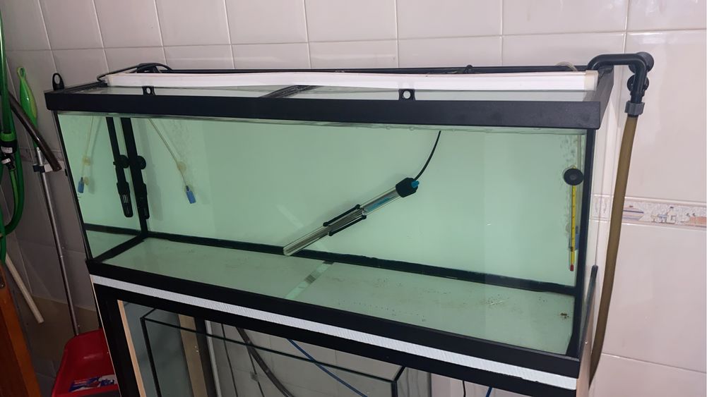 Aquario e estrutura