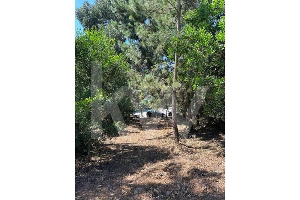 Lote De Terreno Para Construção De Moradia, Em Zona Nobre, Oliveira Do