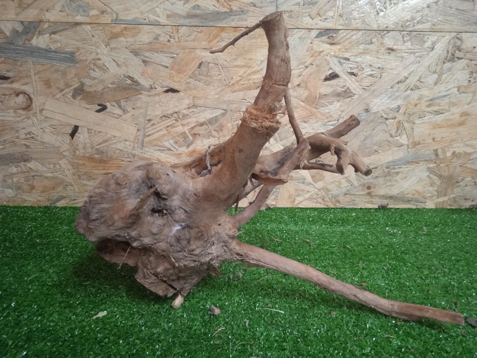 Korzeń do akwarium Red Moore Wood nr 706 o wymiarach 30/12/26