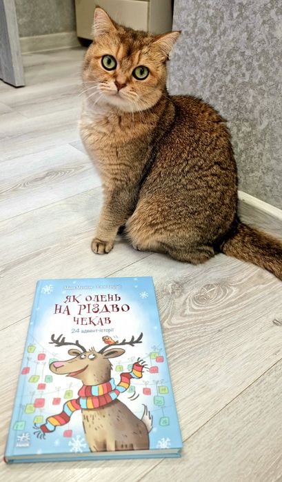 Книга Як олень на Різдво чекав. Адвент історії.