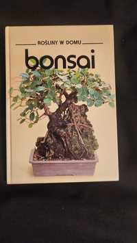 Rośliny w domu bonsai