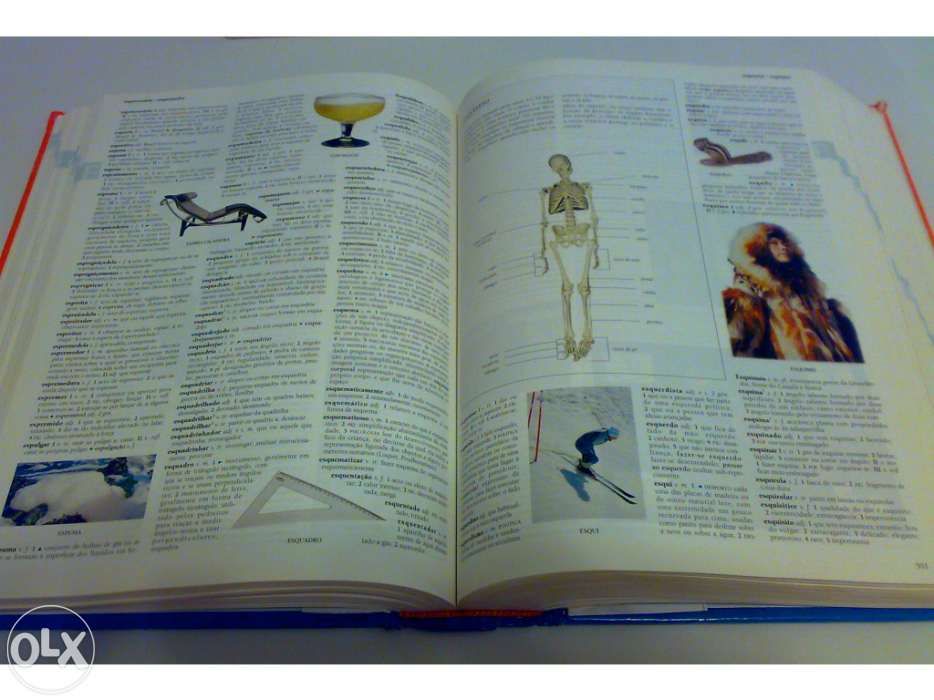 Dicionário ilustrado de língua portuguesa da Porto