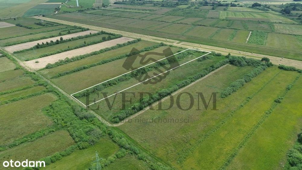 Działka rolna Gnieżdżewo 6000m2
