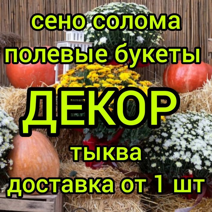 СЕНО ДЛЯ ДЕКОРА, сіно в тюках мешках (бобы) с доставкой от 1шт. Декор.