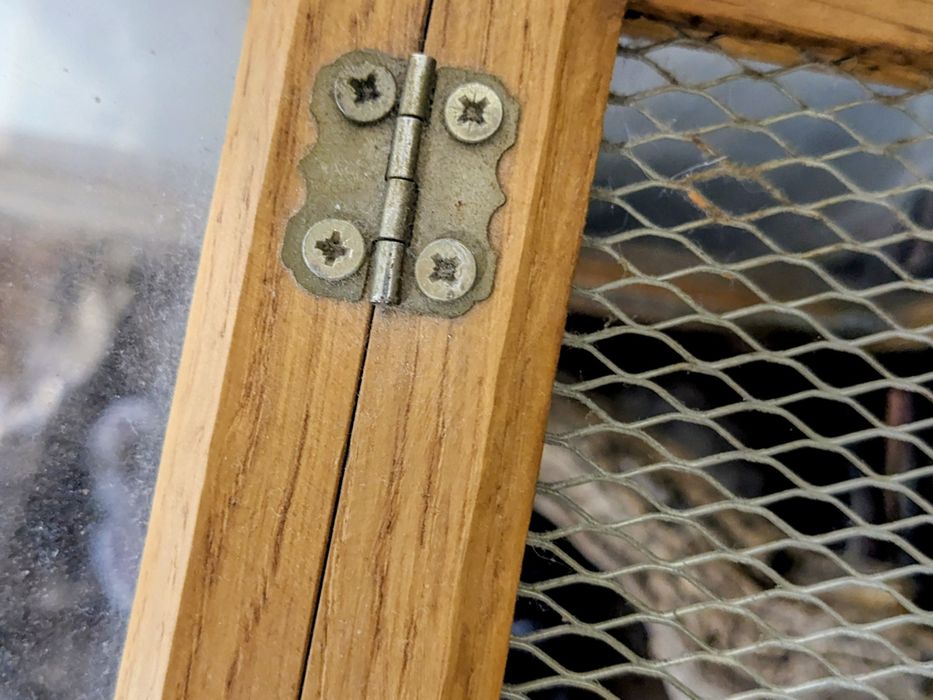 Терраріум (37 на 39 см)