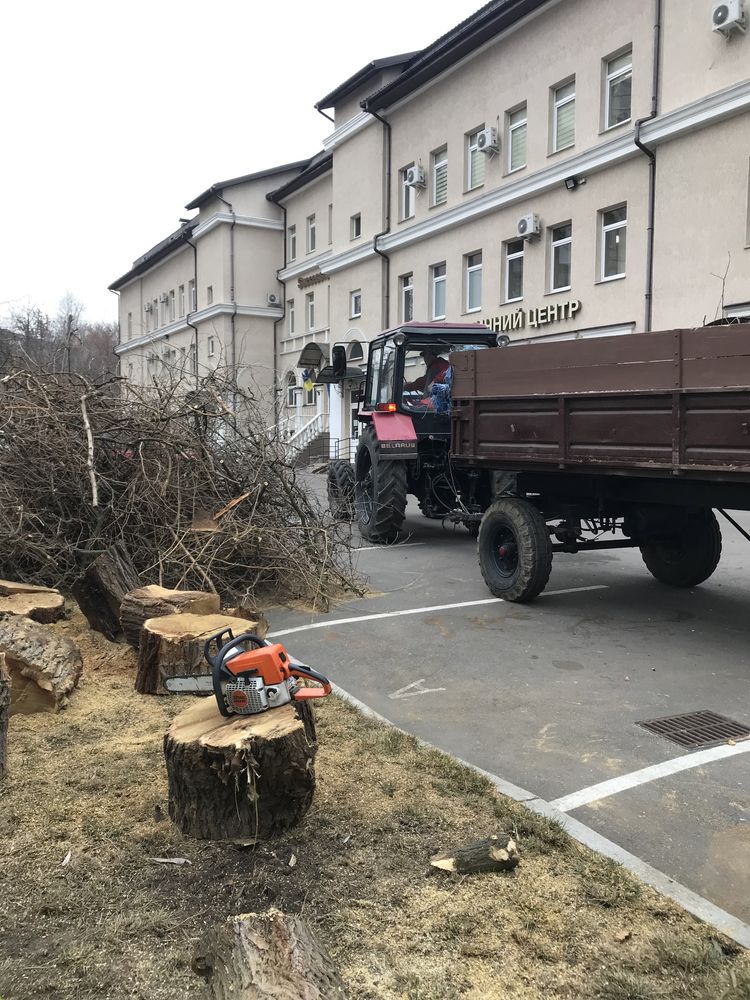 Спил деревьев, обрезка веток, покос травы, дробление веток