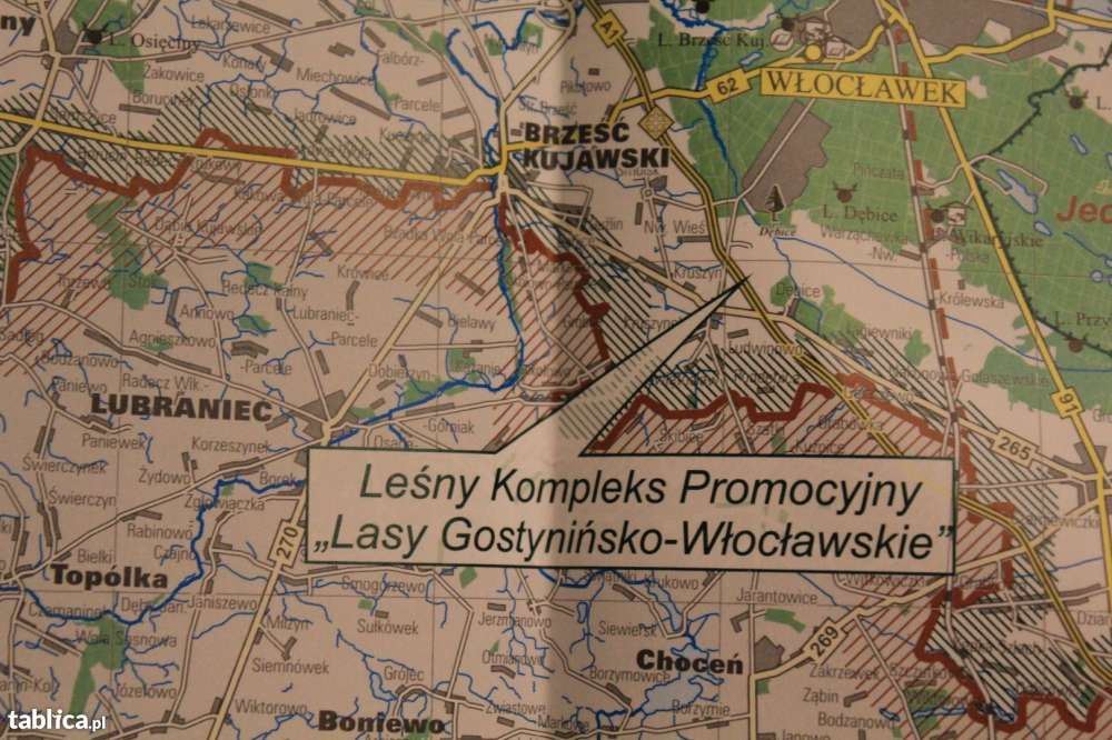 Lasy Kujawsko-Pomorskie mapa-317