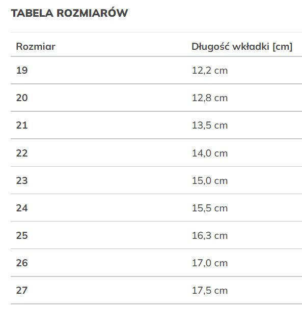 Dziecięce kapcie do przedszkola polskie dla chłopca Ren But |r.19-27