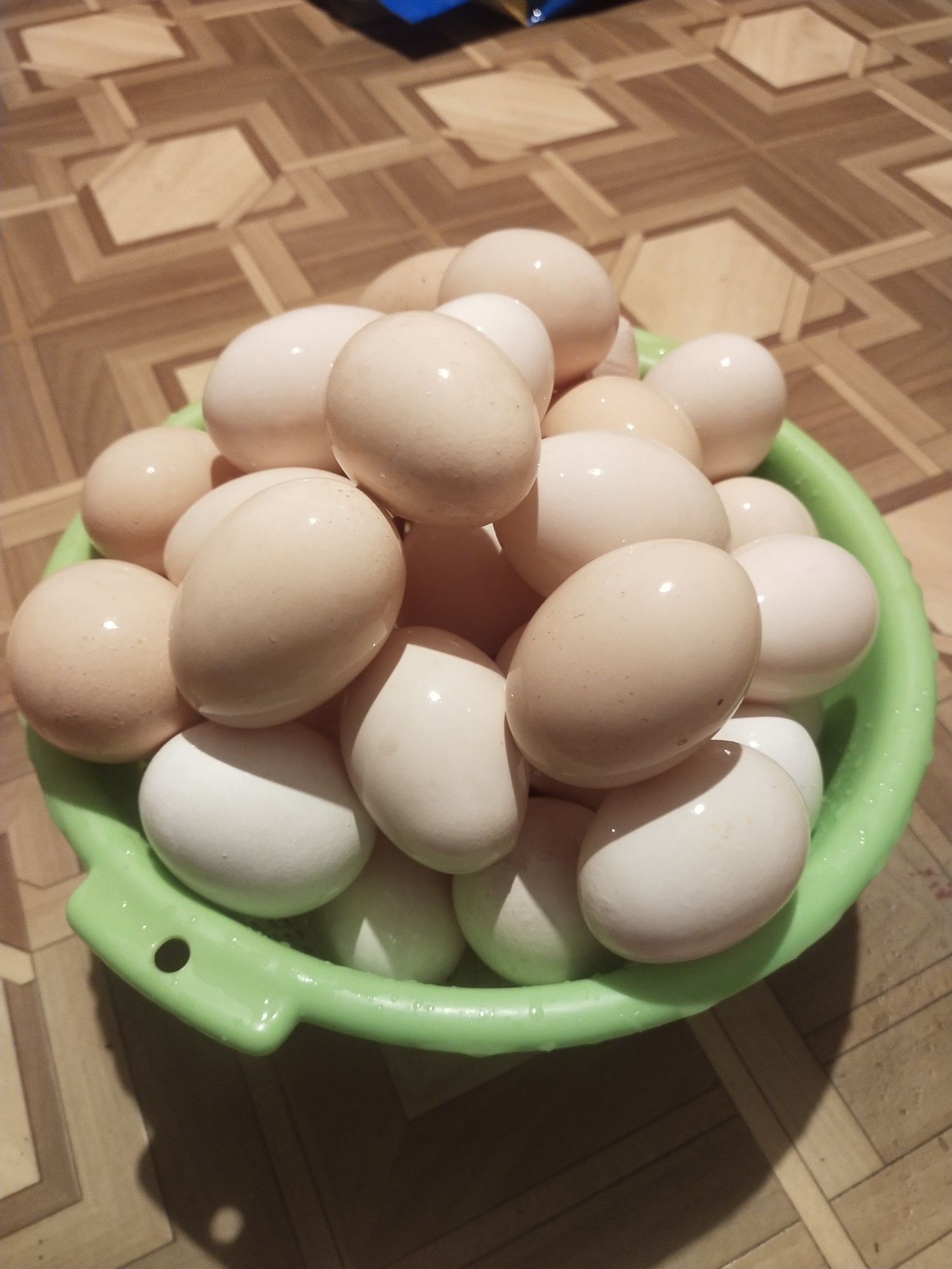 Jaja jajka swojskie świeże z wolnego wybiegu