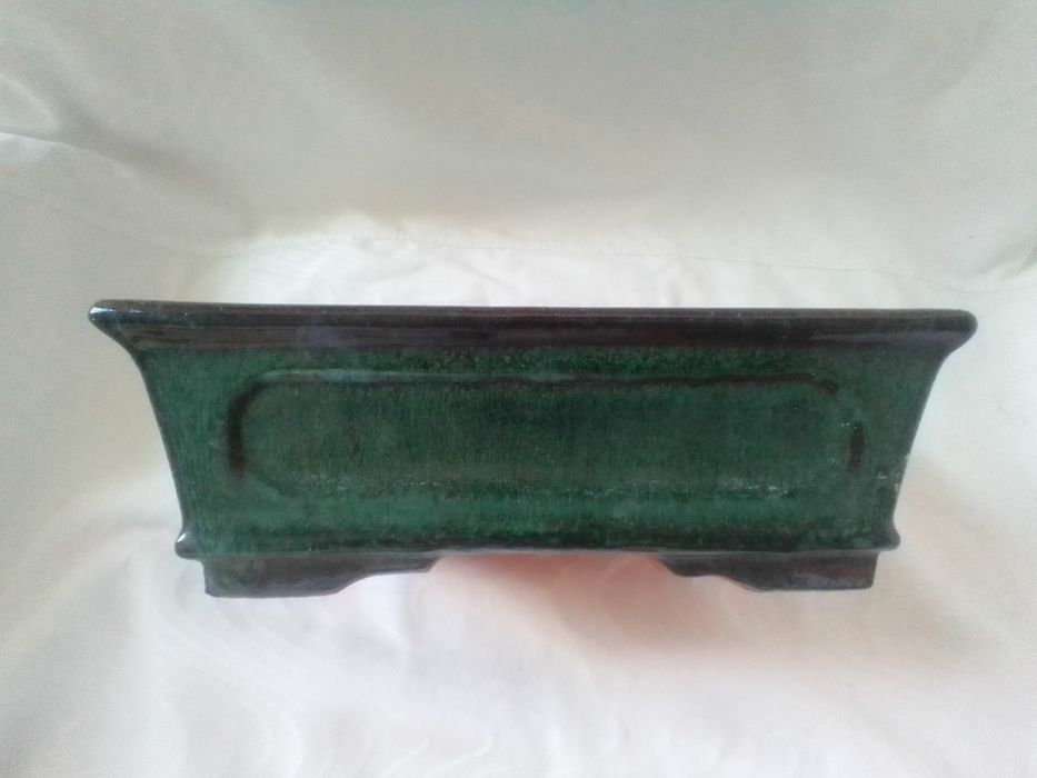 Vasos Bonzai diversos