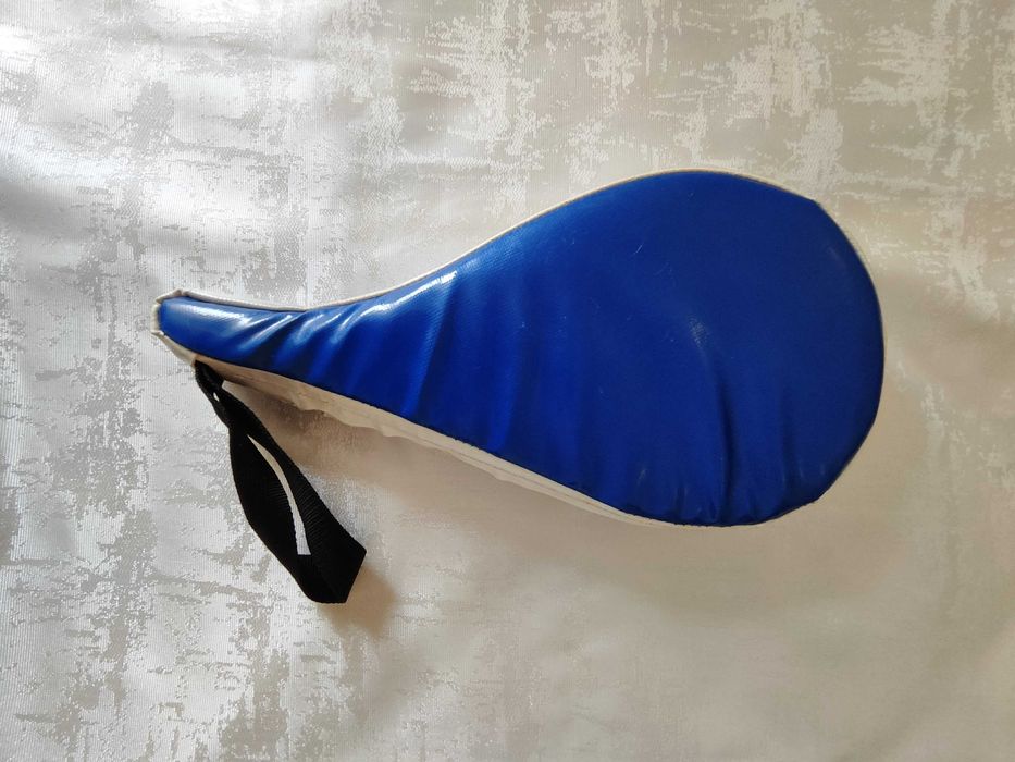 Sanda boxe taekwondo