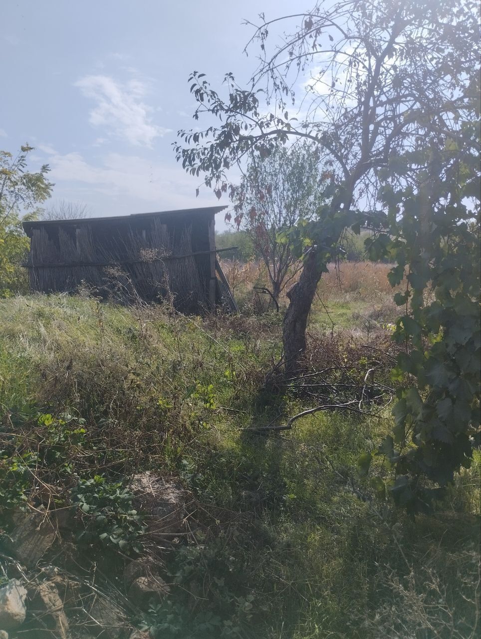 Продам будинок в селі Яструбинове.