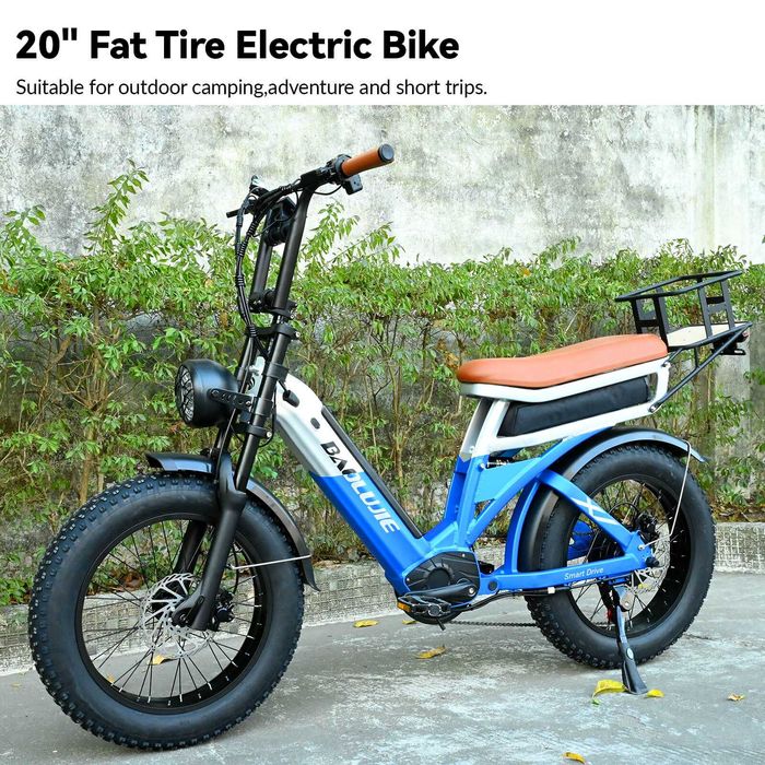 Bicicleta elétrica dois lugares caravana 1000w ou 2000w BAOLUJIE