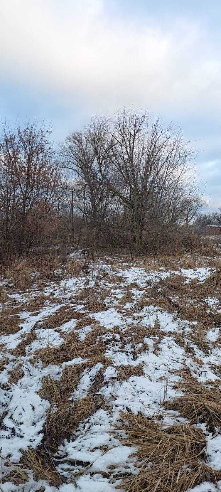 Вихід до води, Козаровичі, 120 соток, для садівництва.  Гарне місце