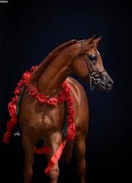 SUPER OKAZYJNA CENA, zamienię lub sprzedam śliczna klacz