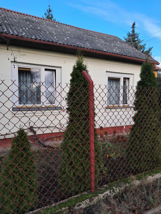 Wynajmę domek w Wołominie