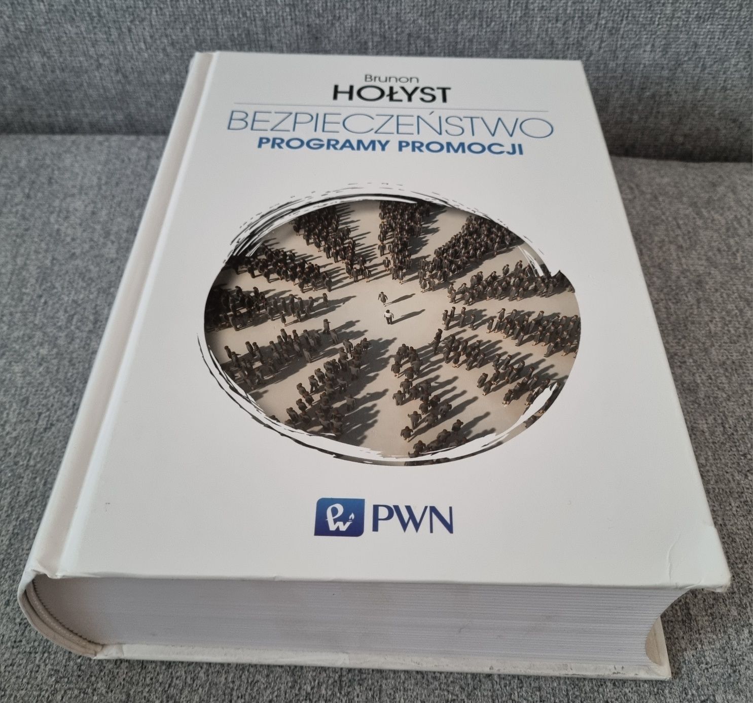 Bezpieczeństwo. Programy promocji. Brunon Hołyst