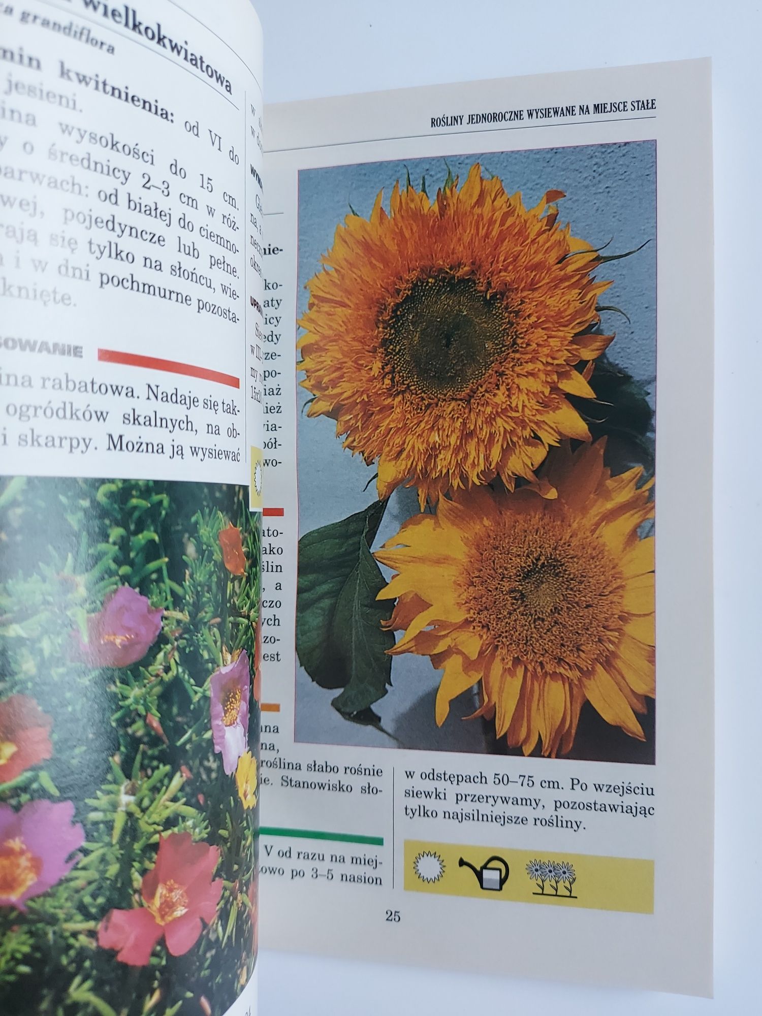 Popularne kwiaty ogrodowe - Książka