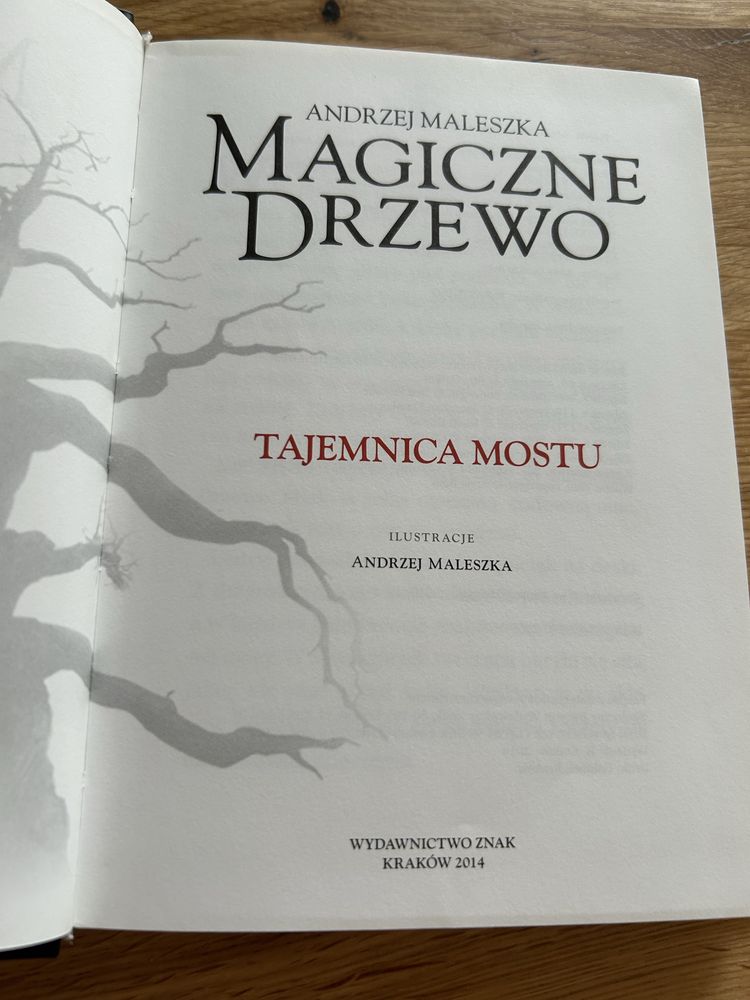 Ksiażka Magiczne drzewo Tajemnica mostu