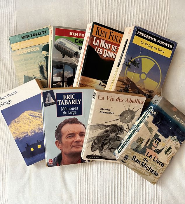 Lote de 8 livros de poche