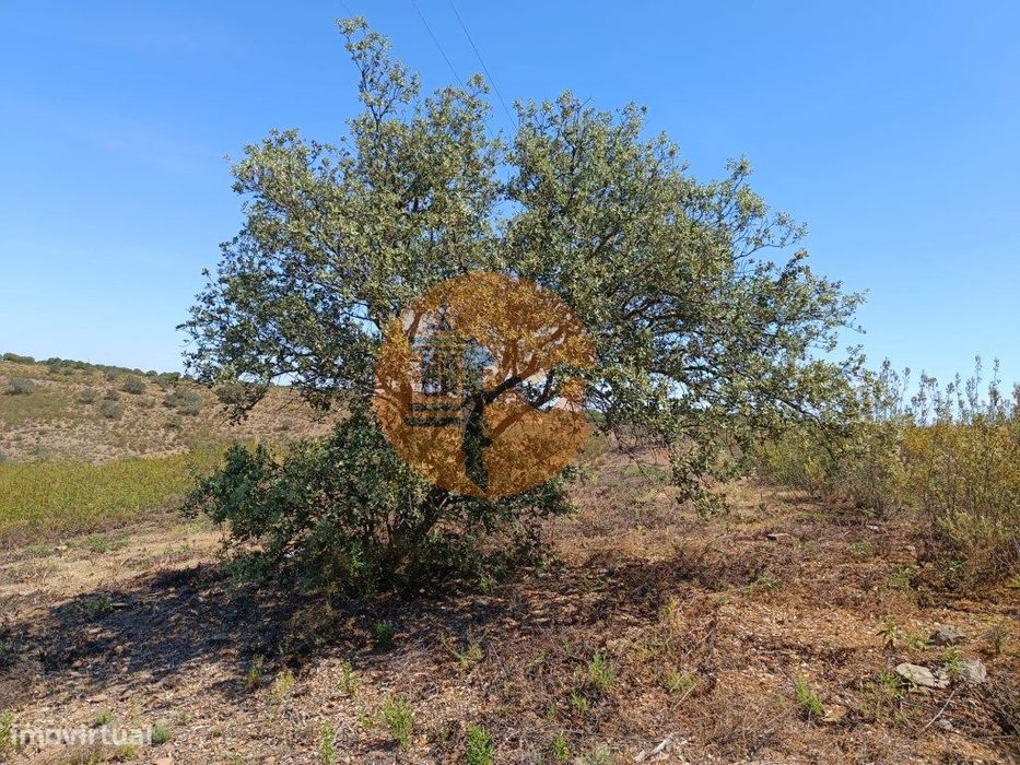 Terreno Com 19.280 M2 - Alcaria - Odeleite - Castro Marim - Algarve