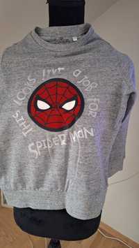 Bluza Spiderman C&A 140