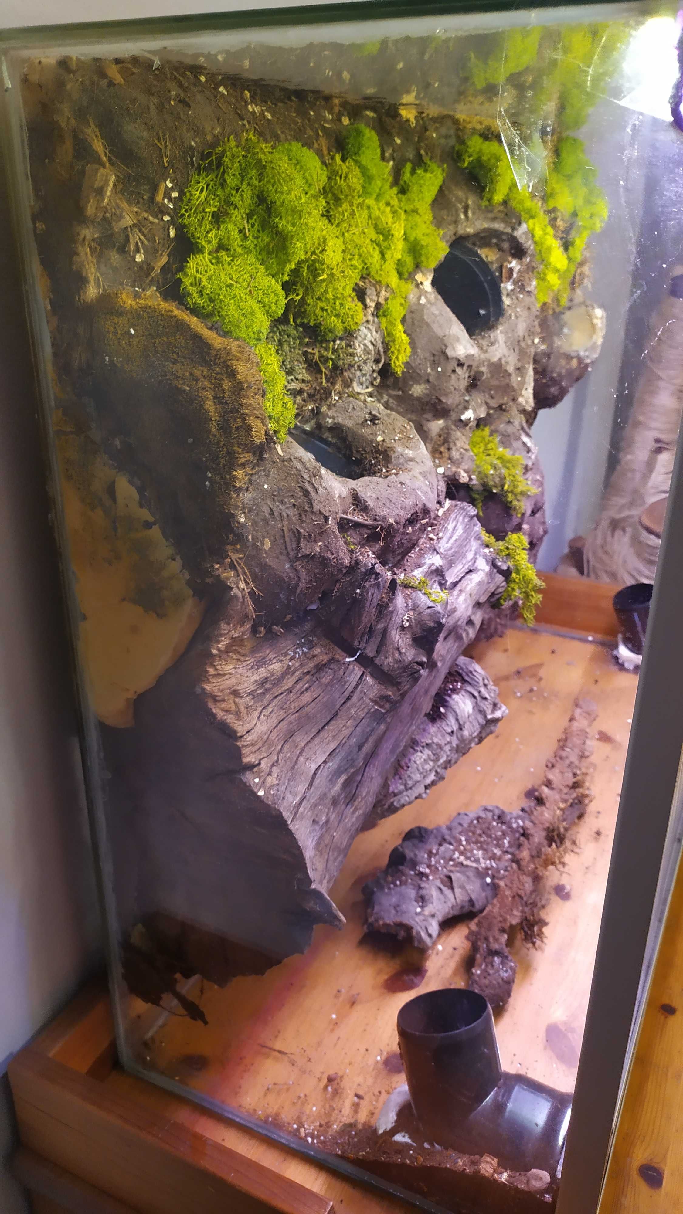 Terrarium dla roślin lub zwierząt