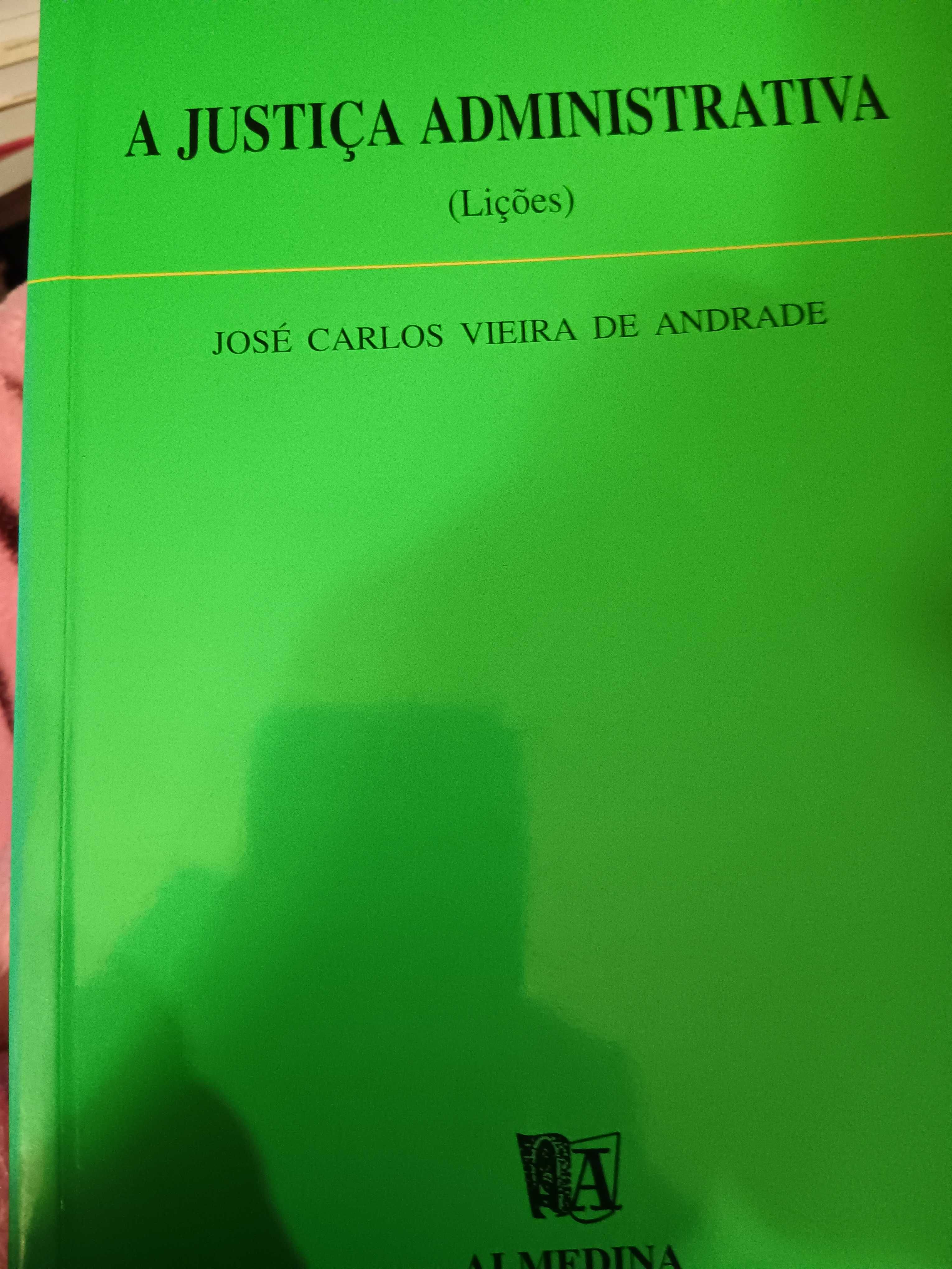 A Justiça Administrativa (Lições), Vieira de Andrade