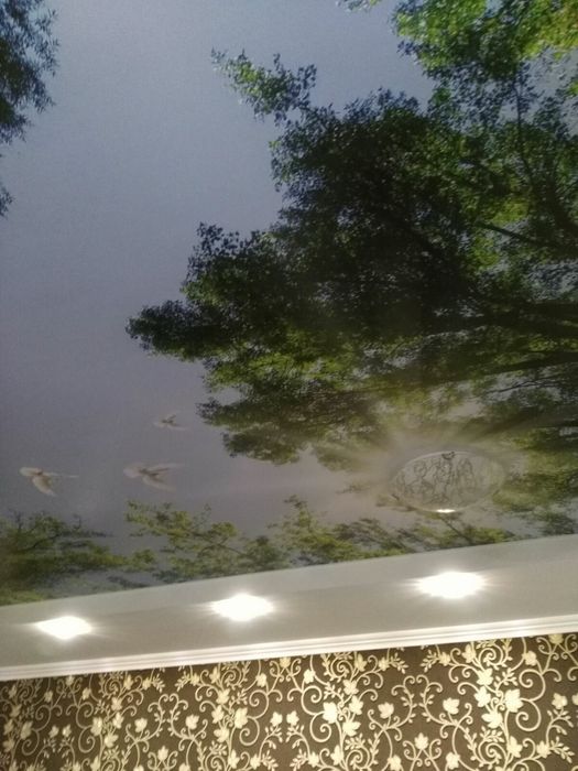 Студія з ремонтом