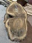 Plastry orzech suche 80cm 10cm orzechowe tarcica