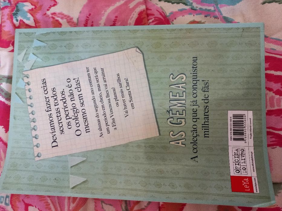 As gêmeas- o segundo ano em Santa clara