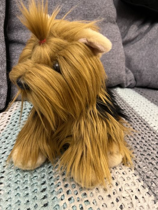 Maskotka York jak prawdziwy