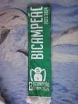 Cachecol Sporting