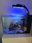 Vendo aquario completo agua salgada