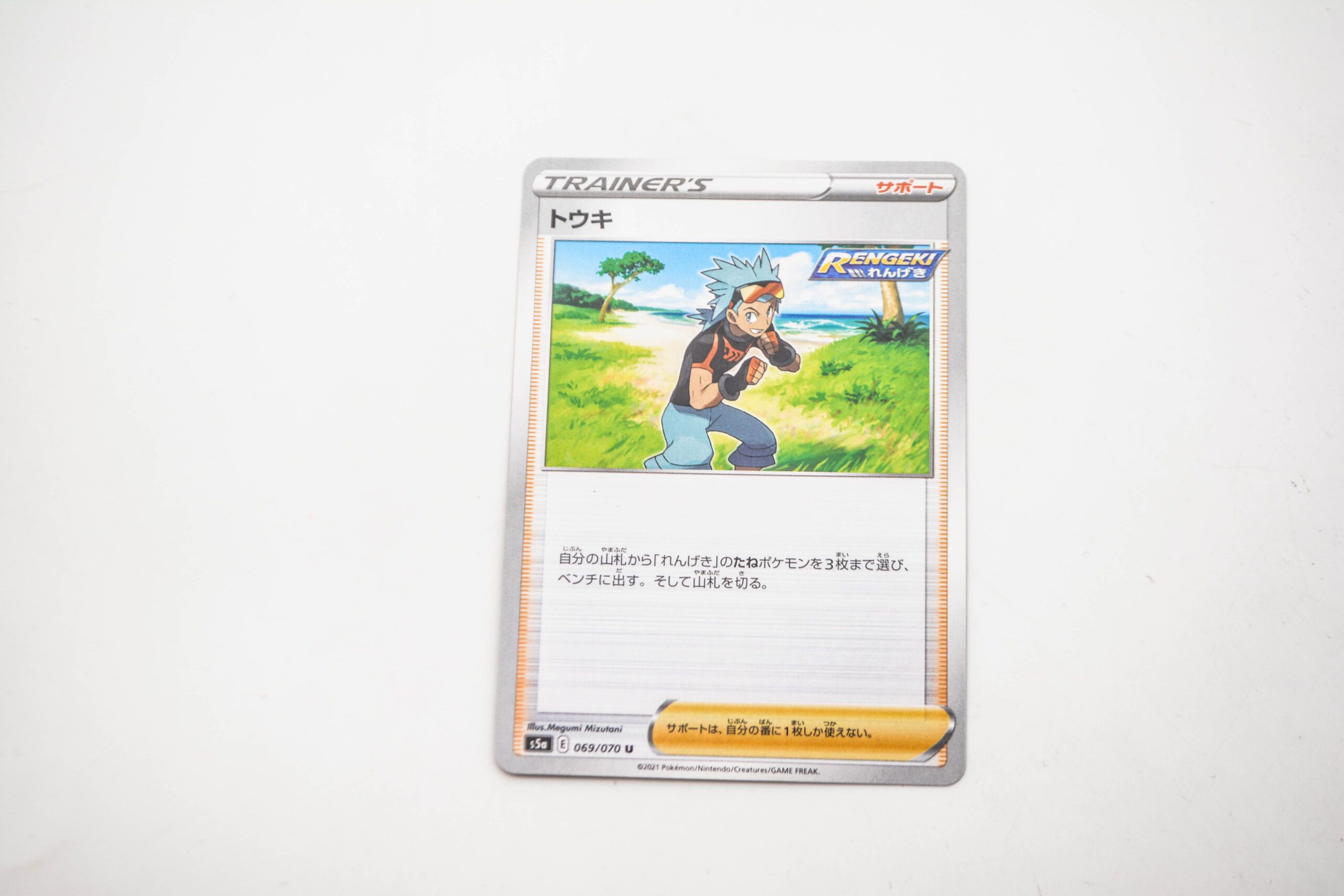 Pokemon - Brawly - Karta Pokemon s5a 069/070 Sword & Shield - oryginał