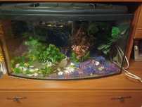 Akwarium na rybki 120l