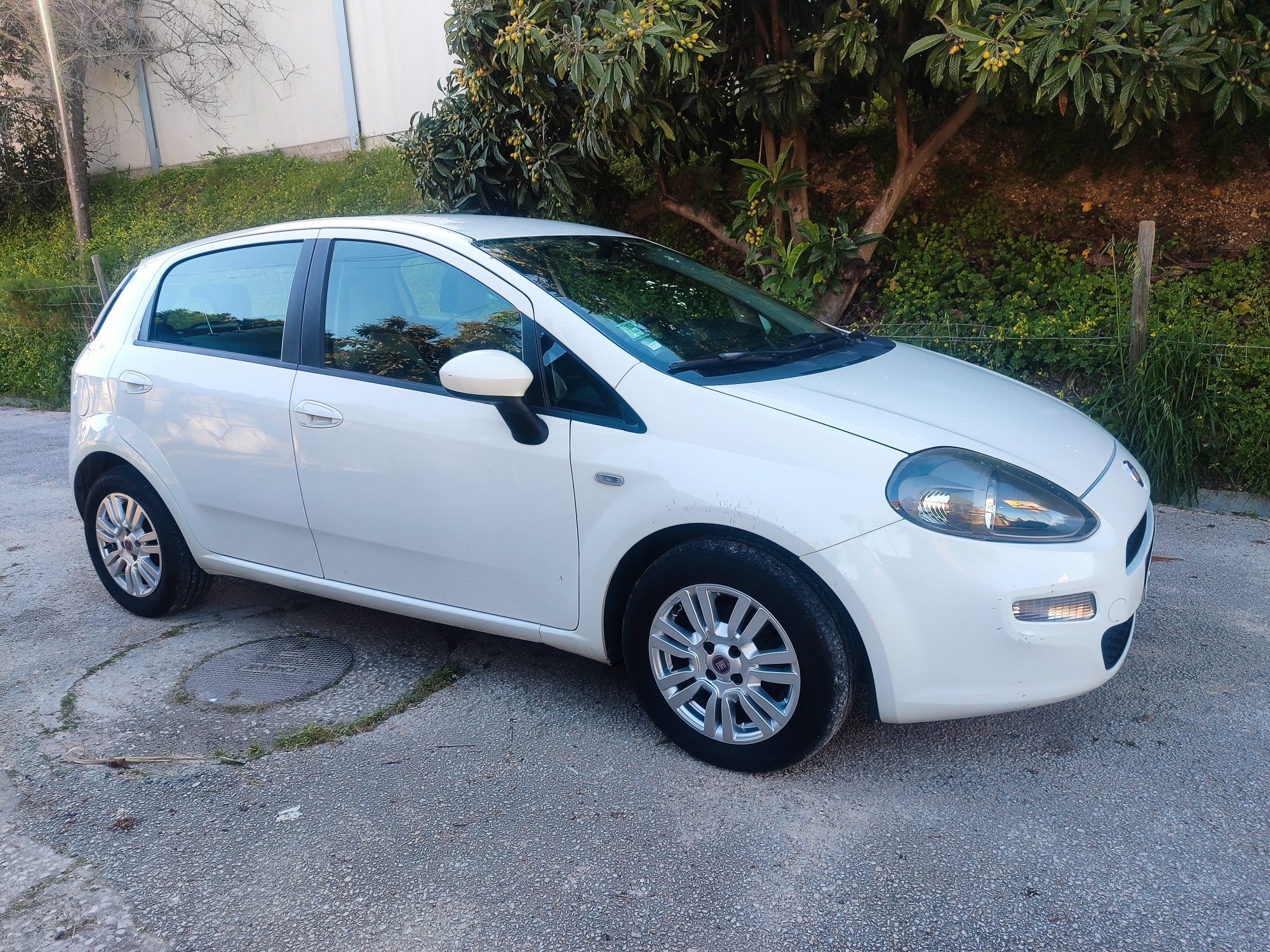 Fiat Punto 1.3M-Jet More