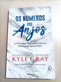 Livro: Os Números dos Anjos - Kyle Gray (Novo)