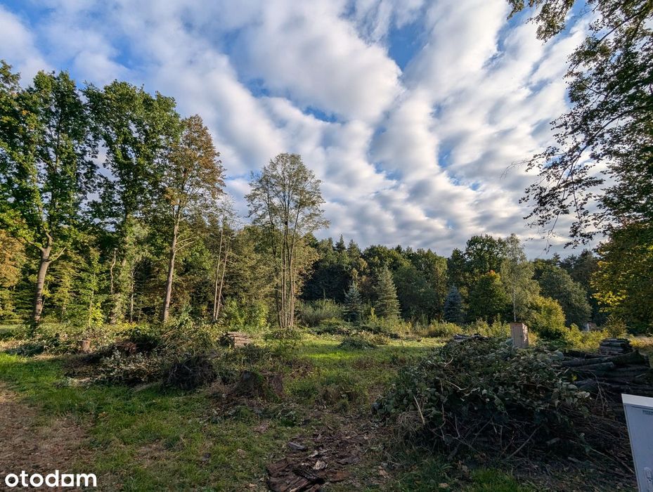Działka budowlana Katowice, 9ar, prąd na działce, media w drodze