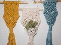 Mini suporte plantas aéreas macramé