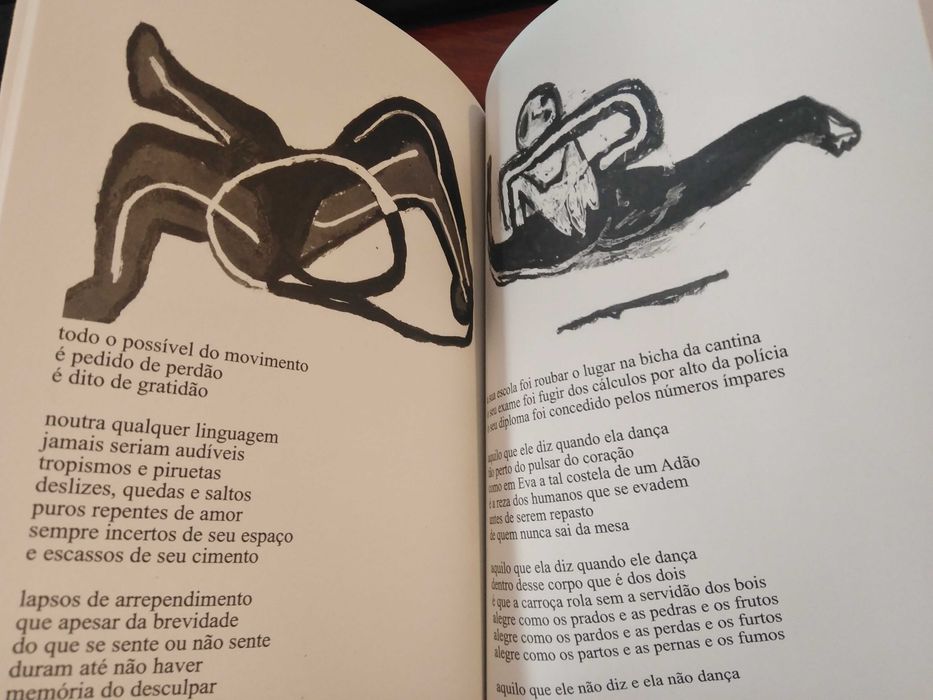 Regina Guimarães e Carlos Mendonça - Lapso
