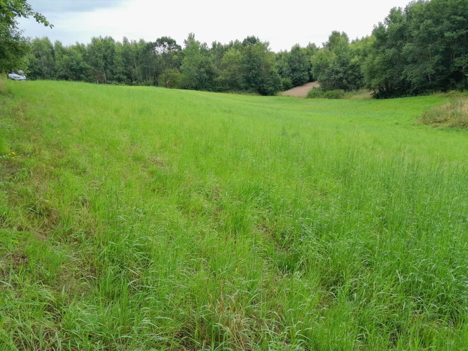 Działka rolna Czułów 70ary