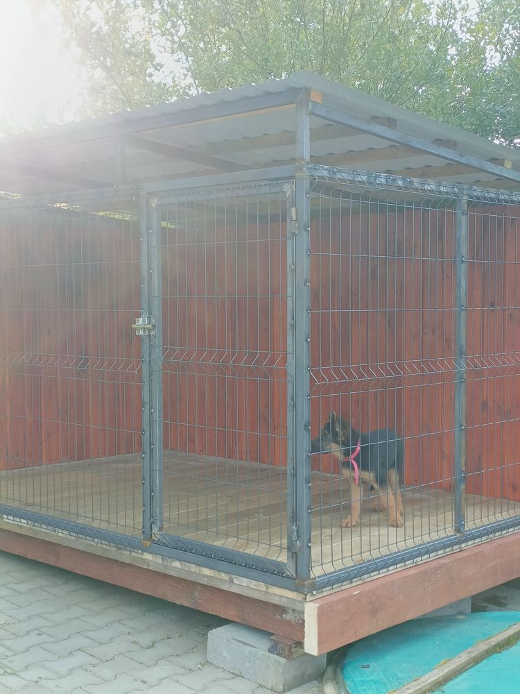 Kojec dla psa z budą 3.10x2