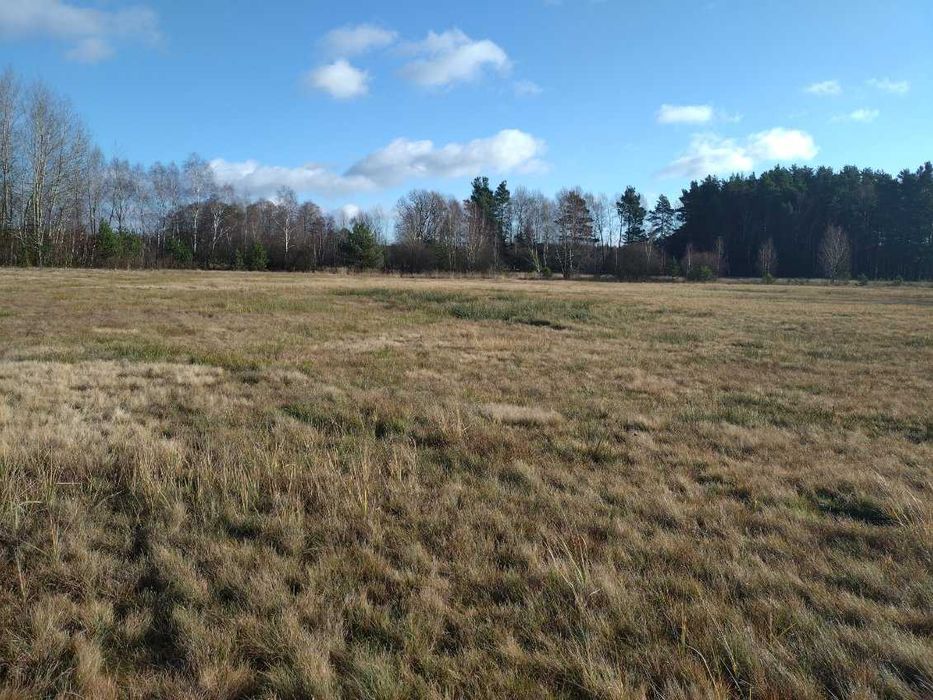 Piękna działka 2,5 ha okolice Koniecpola