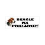 Naklejka na samochód z psem BEAGLE NA POKŁADZIE