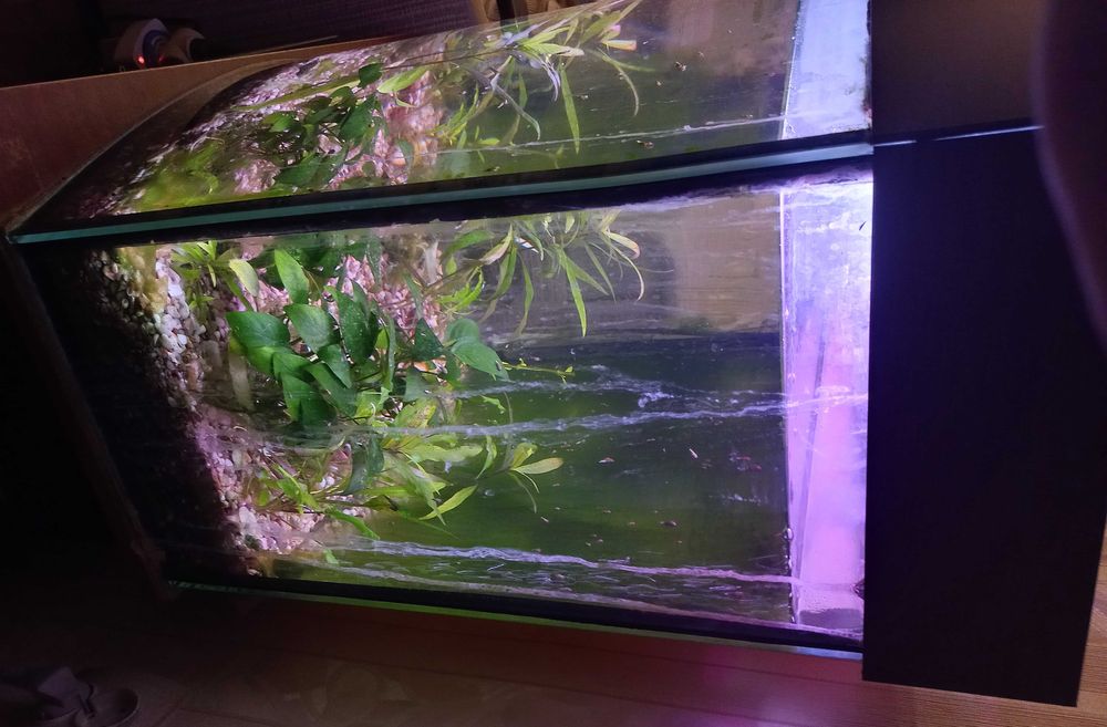 Аквариум 90 л с подсветкой, грунтом, подставкой под компрессор